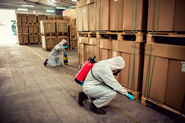 Best Bed Bug Extermination  in Marysville, CA