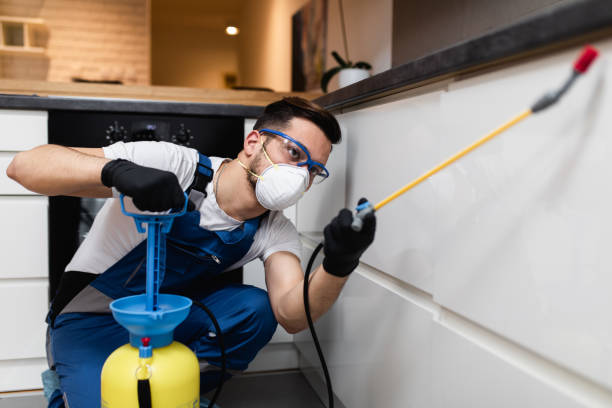 Pest Control for Restaurants in Marysville, CA