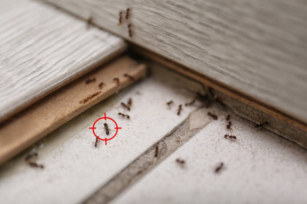 Best Wildlife Control Services  in Marysville, CA