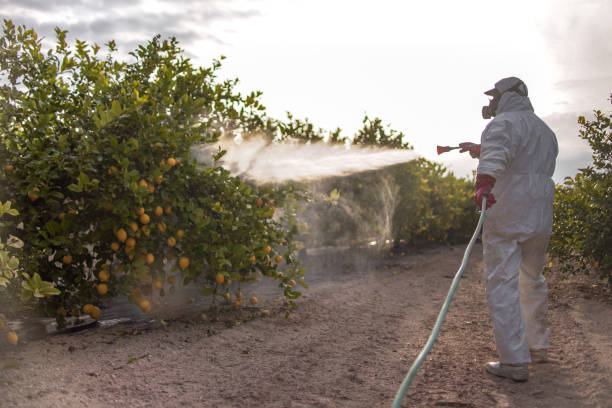 Best Commercial Pest Control Services  in Marysville, CA
