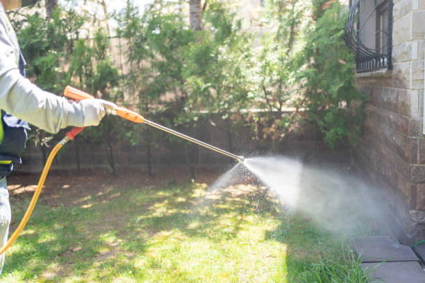 Best Insect Control  in Marysville, CA