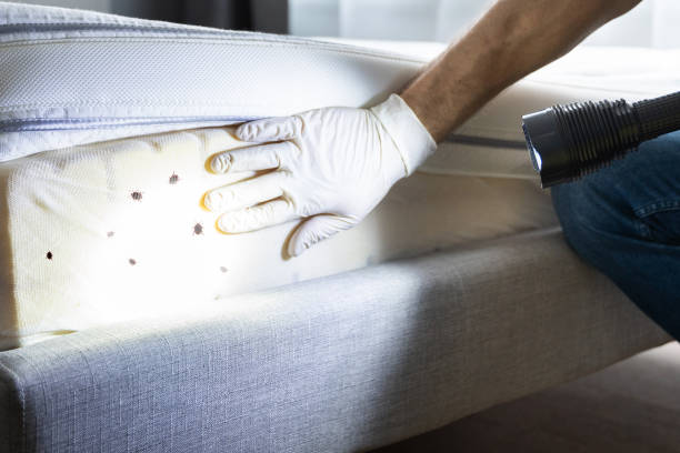 Best Exterminator Services  in Marysville, CA